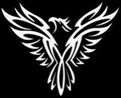phoenix cleaning