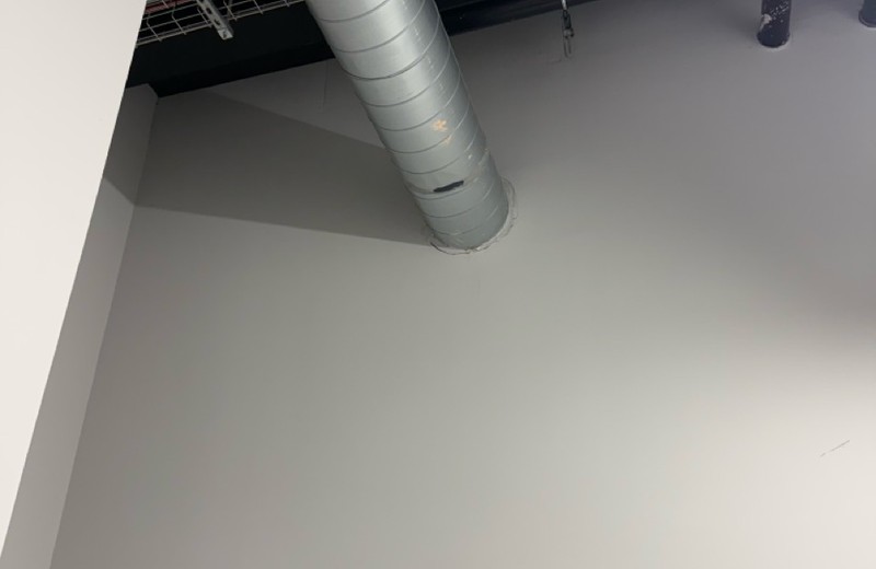 Rooftop kitchen extract fan and ductwork in Ryde