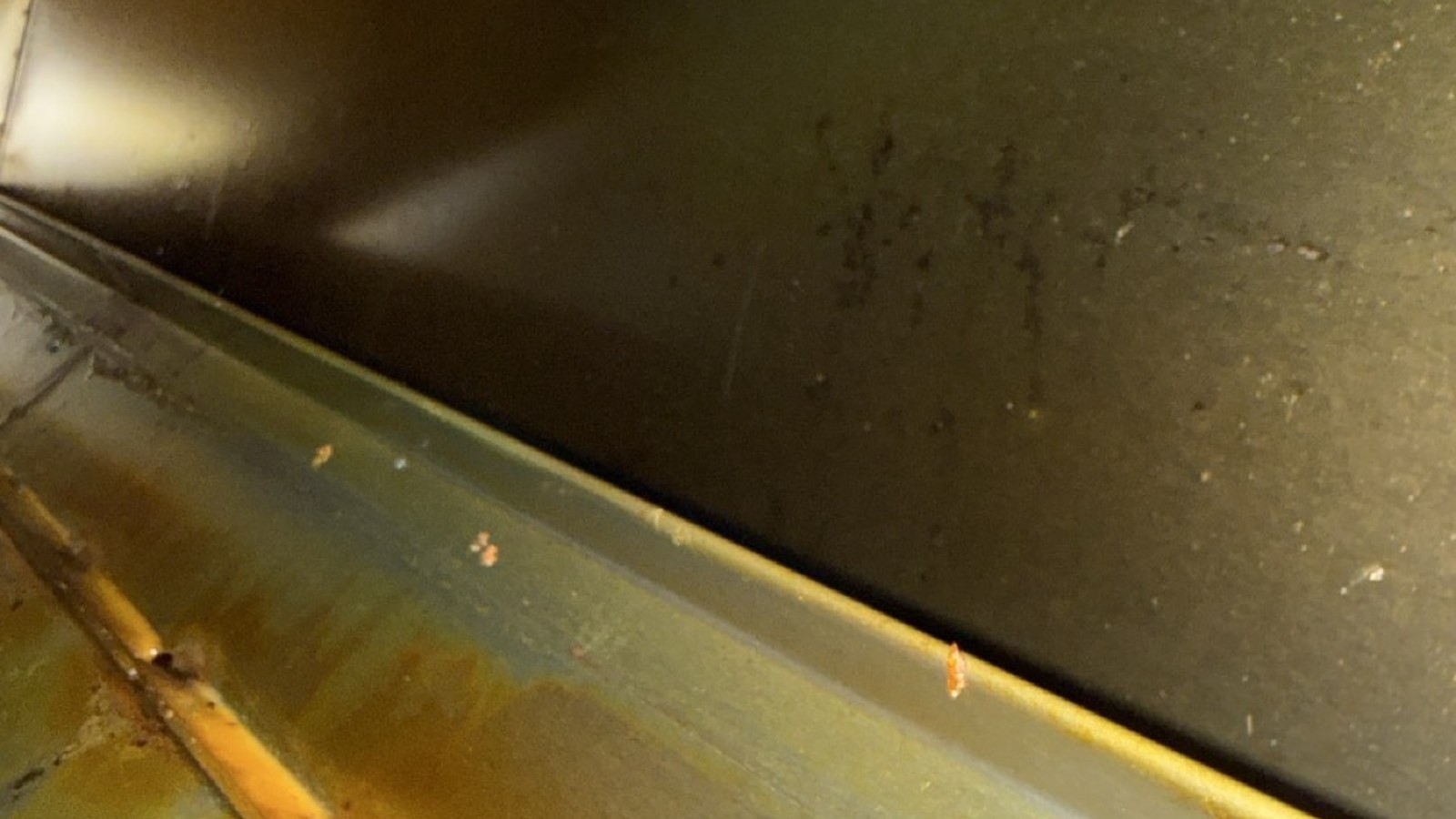 Kitchen Extraction Cleaning in March