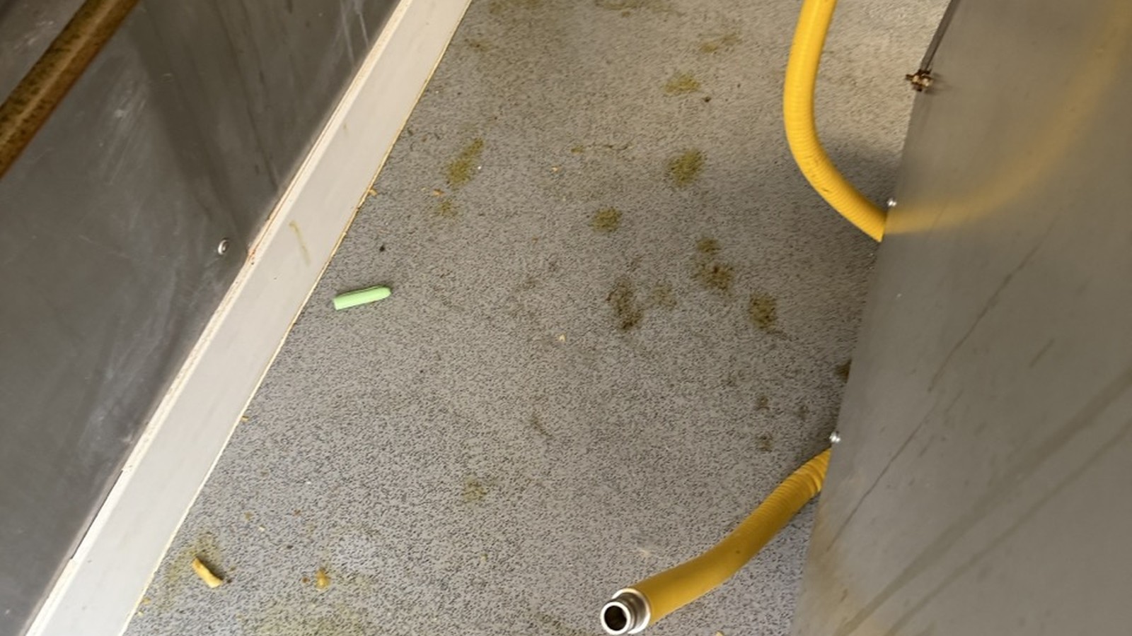 Kitchen Deep Cleaning in Leek