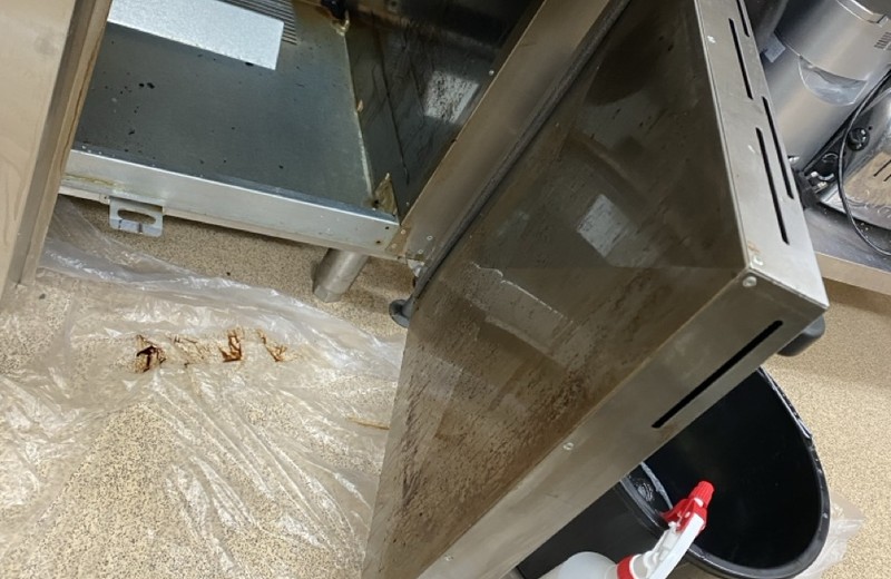 Commercial kitchen deep cleaning in Port Talbot