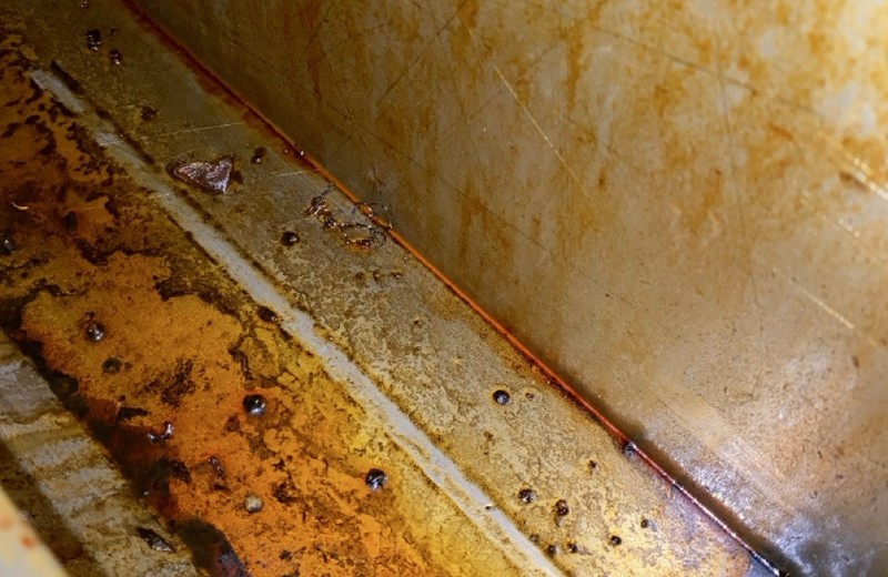 Commercial kitchen deep cleaning in Wisbech